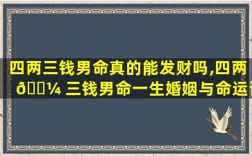 四两三钱男命真的能发财吗,四两 🌼 三钱男命一生婚姻与命运详解
